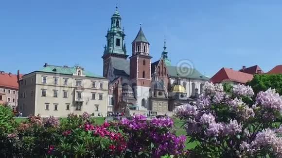 波兰克拉科夫夏日阳光下的瓦维尔城堡和大教堂视频的预览图