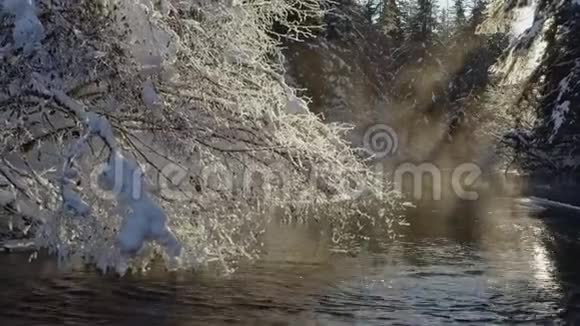 星光灿烂的阳光从流动的温特里溪向左移动视频的预览图