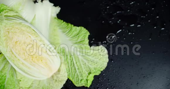 黑底大白菜的叶子视频的预览图