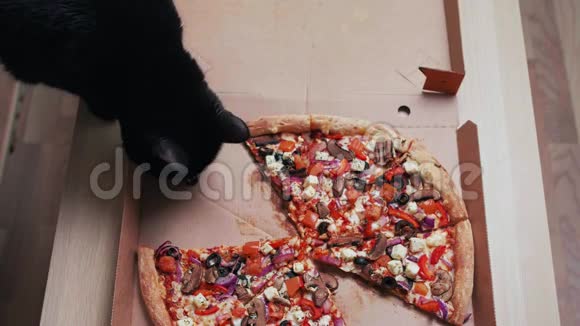 黑猫的俯视图是带比萨饼的送货盒嗅着橄榄视频的预览图