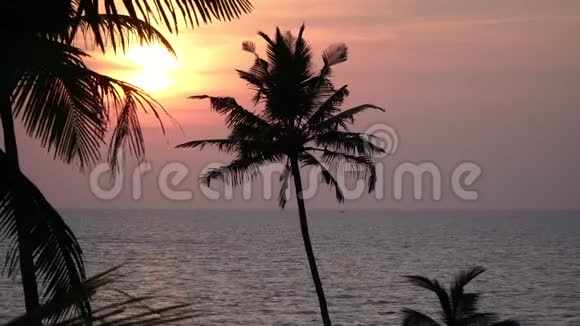 海上日落背景优美椰树迎着夕阳视频的预览图