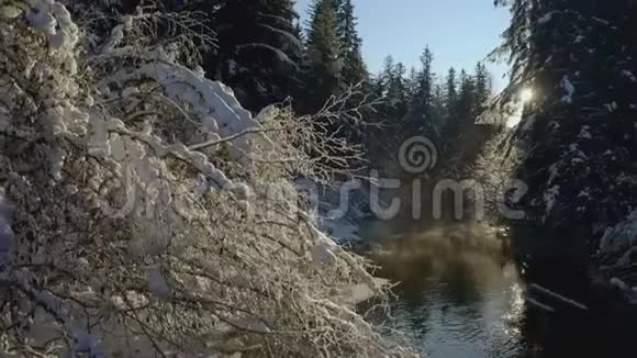 冬季在阿拉斯加森林的雪布什和蒸汽河上空的空中升起视频的预览图