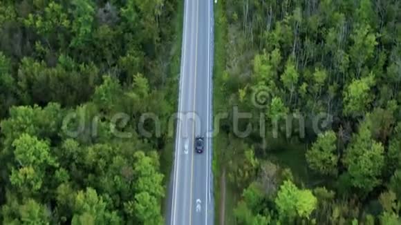 空中旅行从加拿大切尔滕纳姆巴德兰的森林顶部乘车旅行道路树木美丽的荒野视频的预览图
