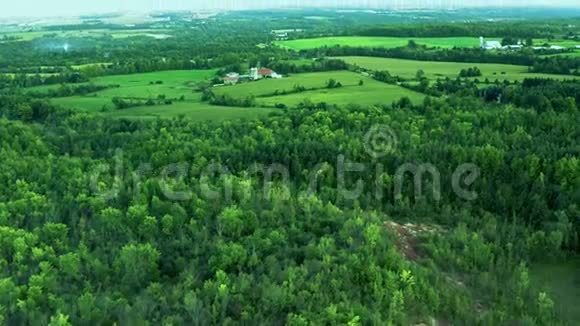 广阔的大森林视野切尔特纳姆巴德兰加拿大风景乡村道路镜头飞越绿色森林峡谷视频的预览图