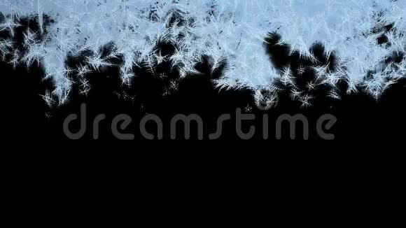 自上而下的冰冻动画的屏幕与阿尔法视频的预览图