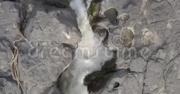 山涧成了丛林中的瀑布视频的预览图