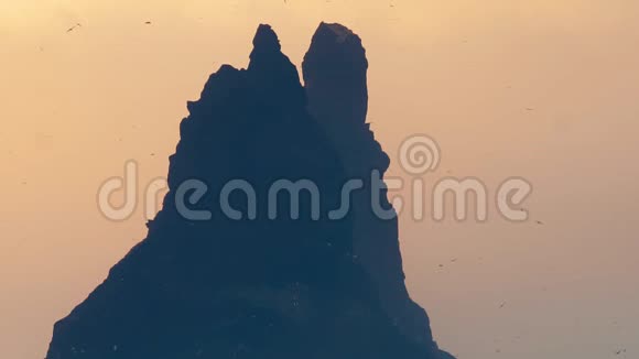 冰岛海鸥山黎明黑滩100英尺视频的预览图