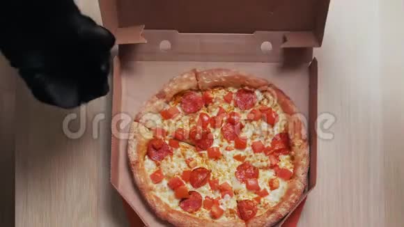 一只黑猫饶有兴致地看着比萨饼盒的俯视图嗅着披萨视频的预览图