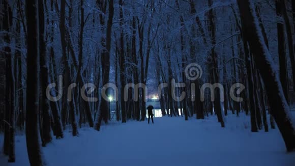 滑雪者的剪影晚上骑在雪地的冬林里蓝色小时视频的预览图