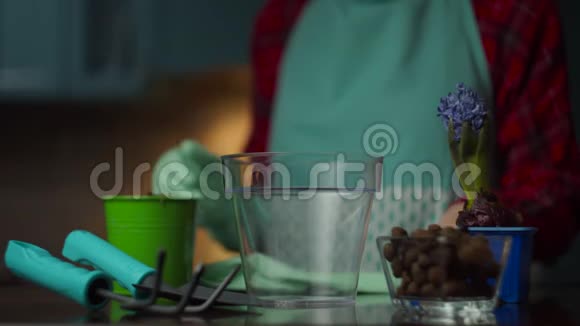女手在背景上戴手套前面有透明花盆国内种植过程视频的预览图