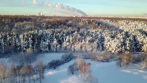 在阳光明媚的天气下梅加波利斯的白雪皑皑的冬林莫斯科市Tsaritsyno公园附近的空中景色视频的预览图