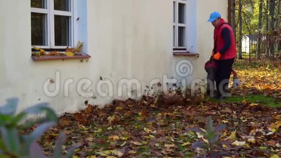 雇人在院子里吹树叶利用吹叶机视频的预览图