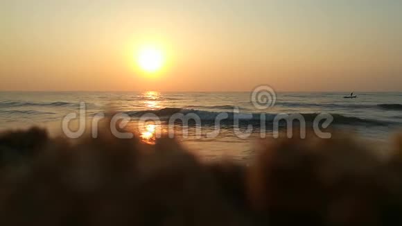 神奇的热带日落海边棕榈树的剪影明亮的黄云苏期间热带岛屿上浪漫的海滩视频的预览图