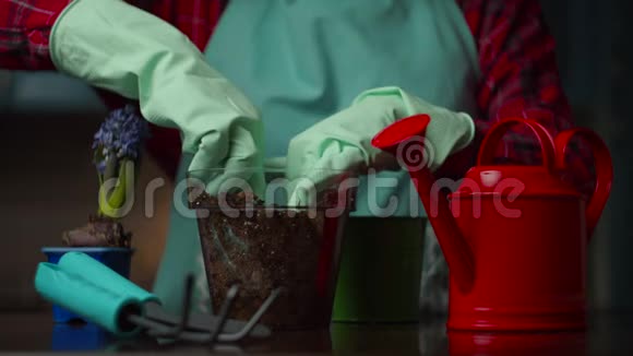 女性手在手套中缓慢移动花到新花盆国内种植过程透明壶视频的预览图