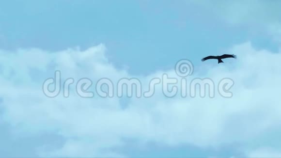 黑风筝在蓝天上飞得很高Milvus迁移视频的预览图