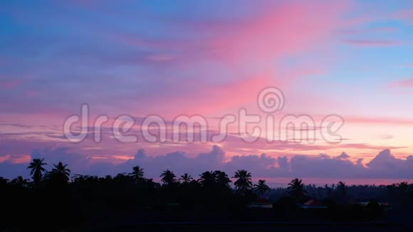 日落背景上棕榈树的剪影乌布德巴厘岛印度尼西亚时光流逝运动天空视频的预览图