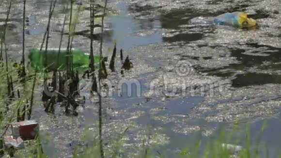 水污染视频的预览图