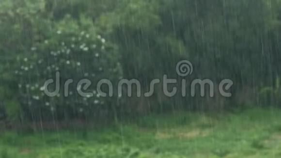 雨在模糊的夏天背景上视频的预览图