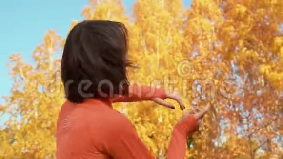 快乐的女人在秋天公园跳舞在橘树背景下公园户外运动的美丽女子训练舞蹈视频的预览图