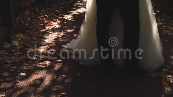 刚刚结婚的一对夫妇在公园里散步视频的预览图