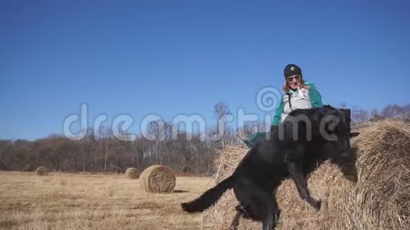 干草堆上的女孩和两只大狗玩视频的预览图