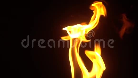 着火了在慢运动效应下火焰燃烧的特写视频的预览图