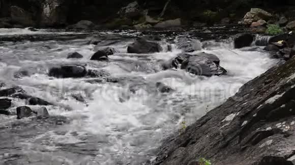 魁北克省格兰比亚马加河上的急流视频的预览图