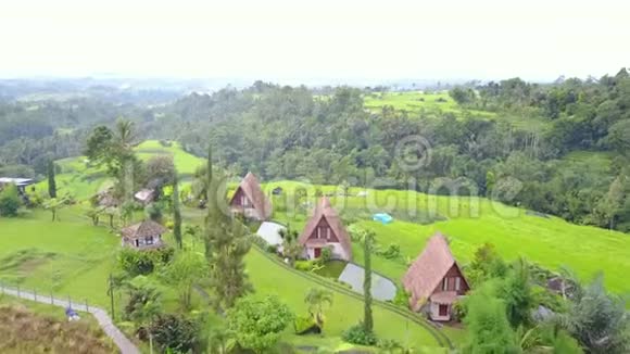 生态酒店的空中摄影用茅草屋顶和绿米梯田做成的草叉视频的预览图