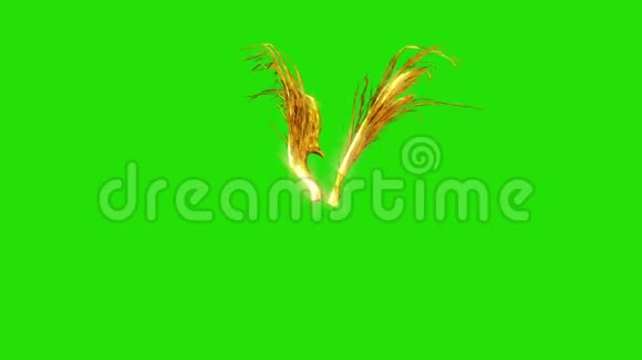 金色羽毛翼绿色屏幕三维渲染动画视频的预览图