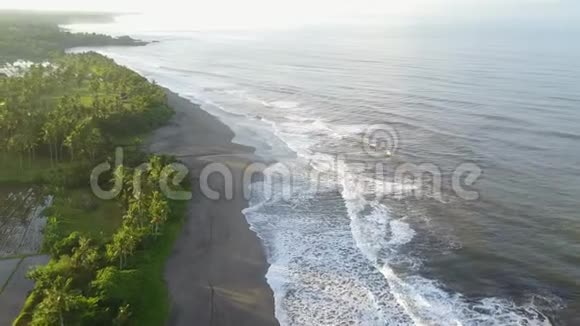 黎明时用棕榈树和来自印度洋的波浪拍摄野生海滩的空中摄影视频的预览图