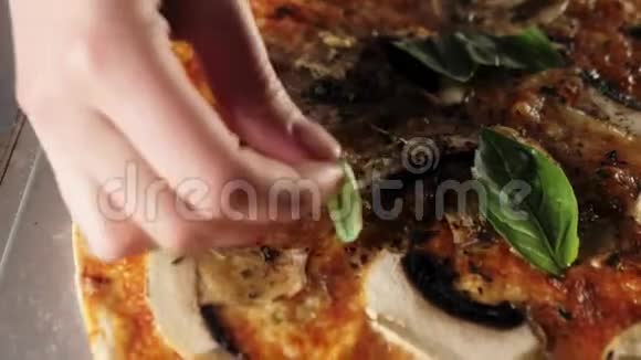 专业厨师将新鲜的绿色罗勒叶放在一个现成的披萨之上以提高味道烹饪美味披萨的概念视频的预览图