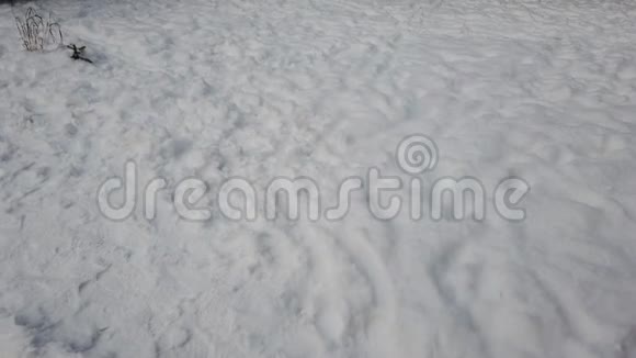 冬天的风景有树木白雪覆盖的道路视频的预览图