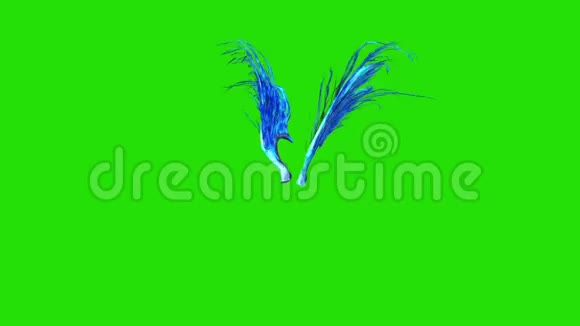 蓝羽翅膀绿色屏幕三维渲染动画视频的预览图