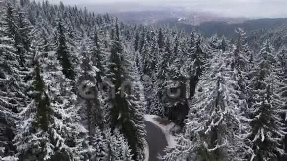 从山上的一片雪林起飞可以看到滑雪胜地班斯科视频的预览图