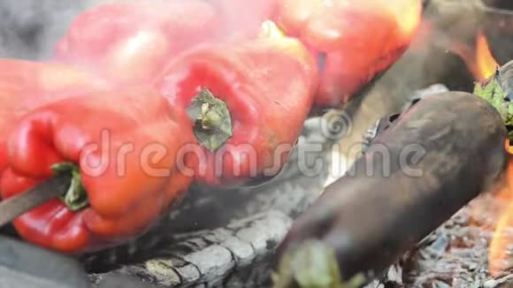 红辣椒和茄子烤宏观的视频的预览图