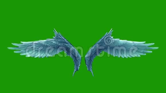 天使拍打翅膀循环绿屏3D渲染动画视频的预览图