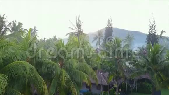 黎明时分在一个拥有棕榈树和别墅的热带小岛上进行空中摄影视频的预览图