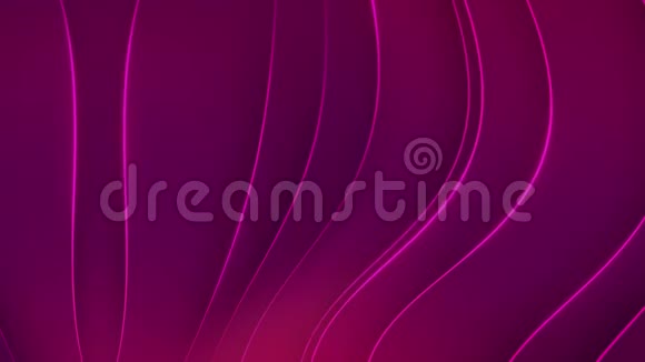 紫色背景与移动的曲线视频的预览图