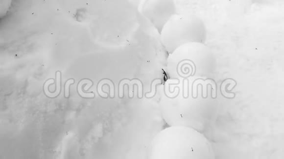 冬天在公园玩的雪球视频的预览图