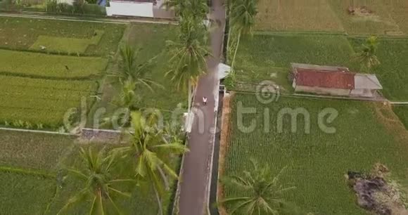 日落时分一对夫妇骑在棕榈树房子和绿米场之间的公路上视频的预览图