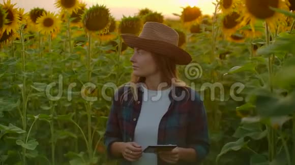 女孩在田野里和向日葵一起工作视频的预览图