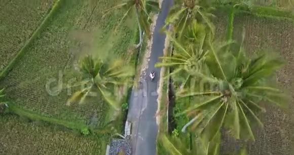 日落时分一对夫妇骑在棕榈树房子和绿米场之间的公路上视频的预览图