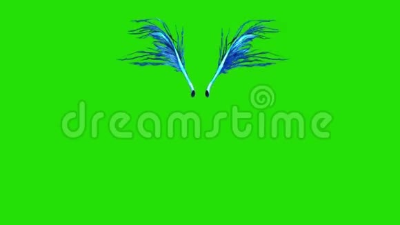 蓝羽翅膀正面绿色屏幕三维渲染动画视频的预览图