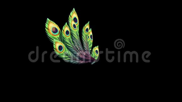 孔雀羽毛侧面阿尔法Matte三维渲染动画视频的预览图