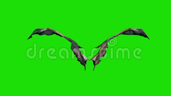 恶魔魔翼快速绿色屏幕前3D渲染动画视频的预览图