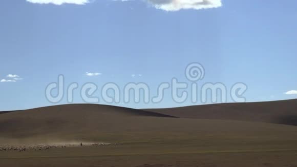 蒙古沙漠中的牧羊人视频的预览图