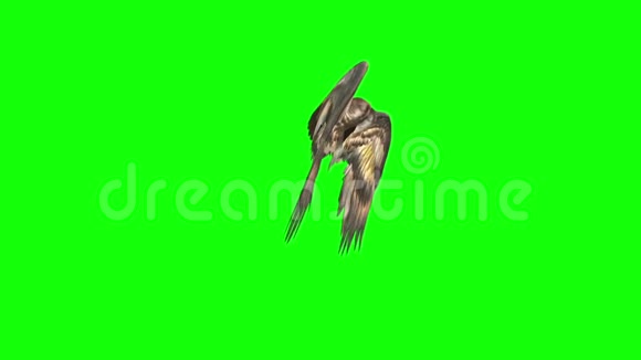 天使鸟翼边3D渲染绿色屏幕视频的预览图