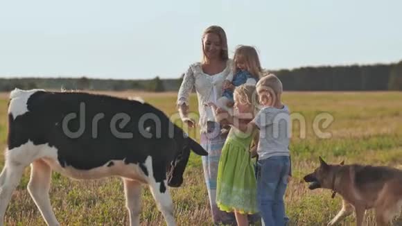 一位母亲和她的4个孩子碰了一头牛视频的预览图