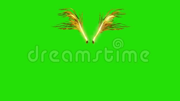 金色羽毛翼正面绿色屏幕三维渲染动画视频的预览图