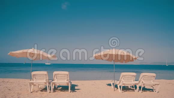 沙滩度假村为游客准备的太阳椅视频的预览图